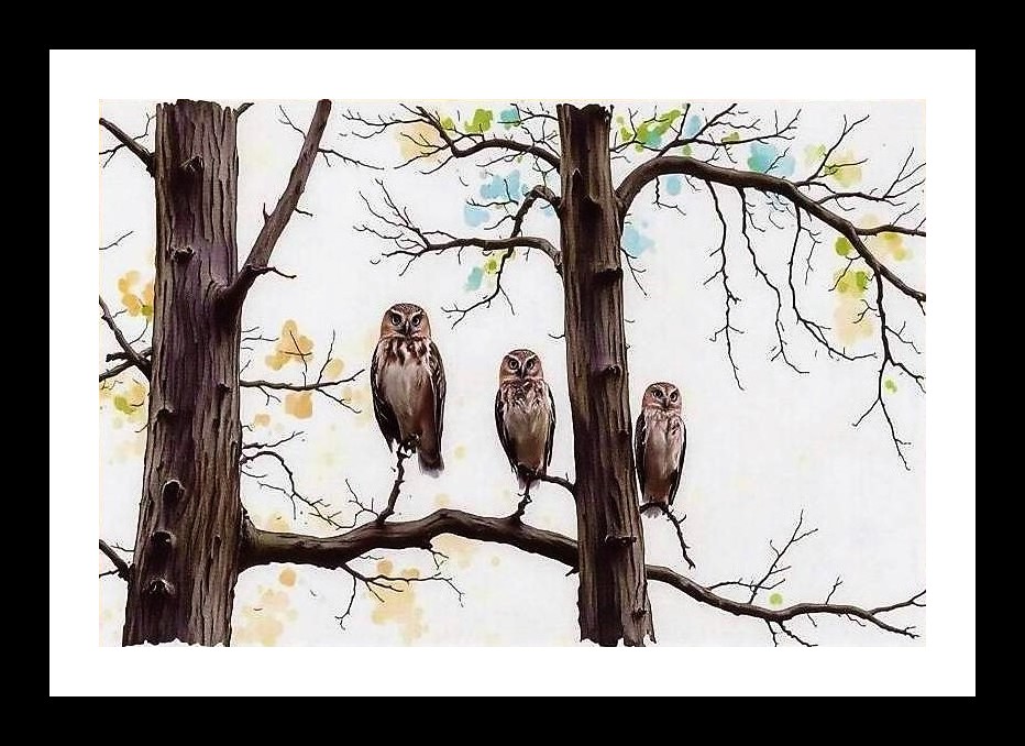 Autumnal Owl Trio Portrait - Photo Frame With Photo, Wall Hanging Art, Wall Decor, Home Decor, Picture Frame | Size: 8 x 12 inches