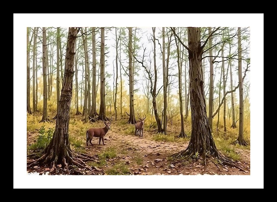 Distant Deer Portrait in Tropical Forest Frame. Photo Frame With Photo, Wall Hanging Art, Wall Decor, Home Decor, Picture Frame | Size: 8 x 12 inches